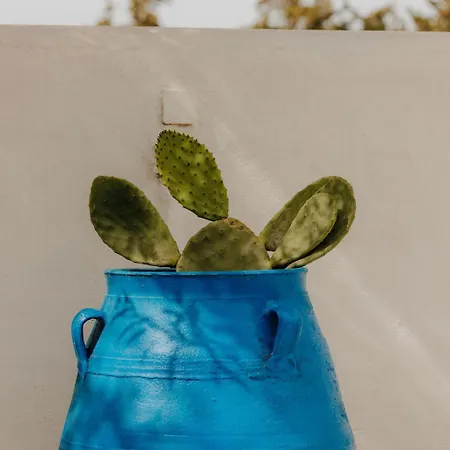 Adelfia بيت ضيافة باروس