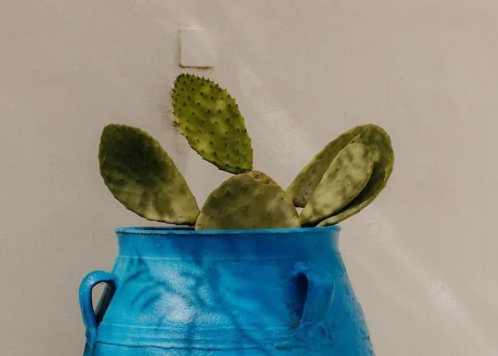 Adelfia Gasthuis Páros